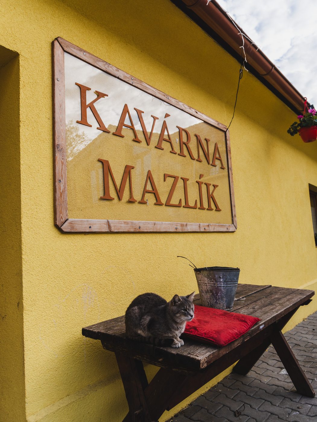 Kavárna Mazlík